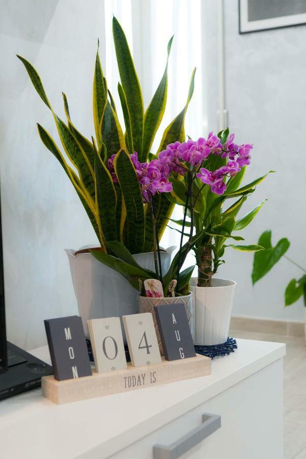 M&M House Apartment Rome Bagian luar foto